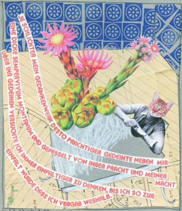 Fehmi Baumbach 4
