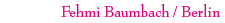 Fehmi Baumbach
