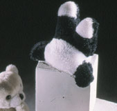 com1_1
